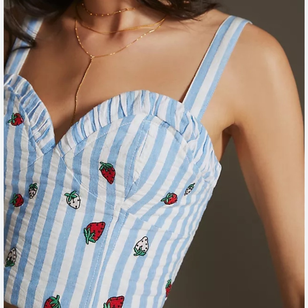 Anthropologie Striped Blue and White Strawberry Embroidered Women's Top NWT